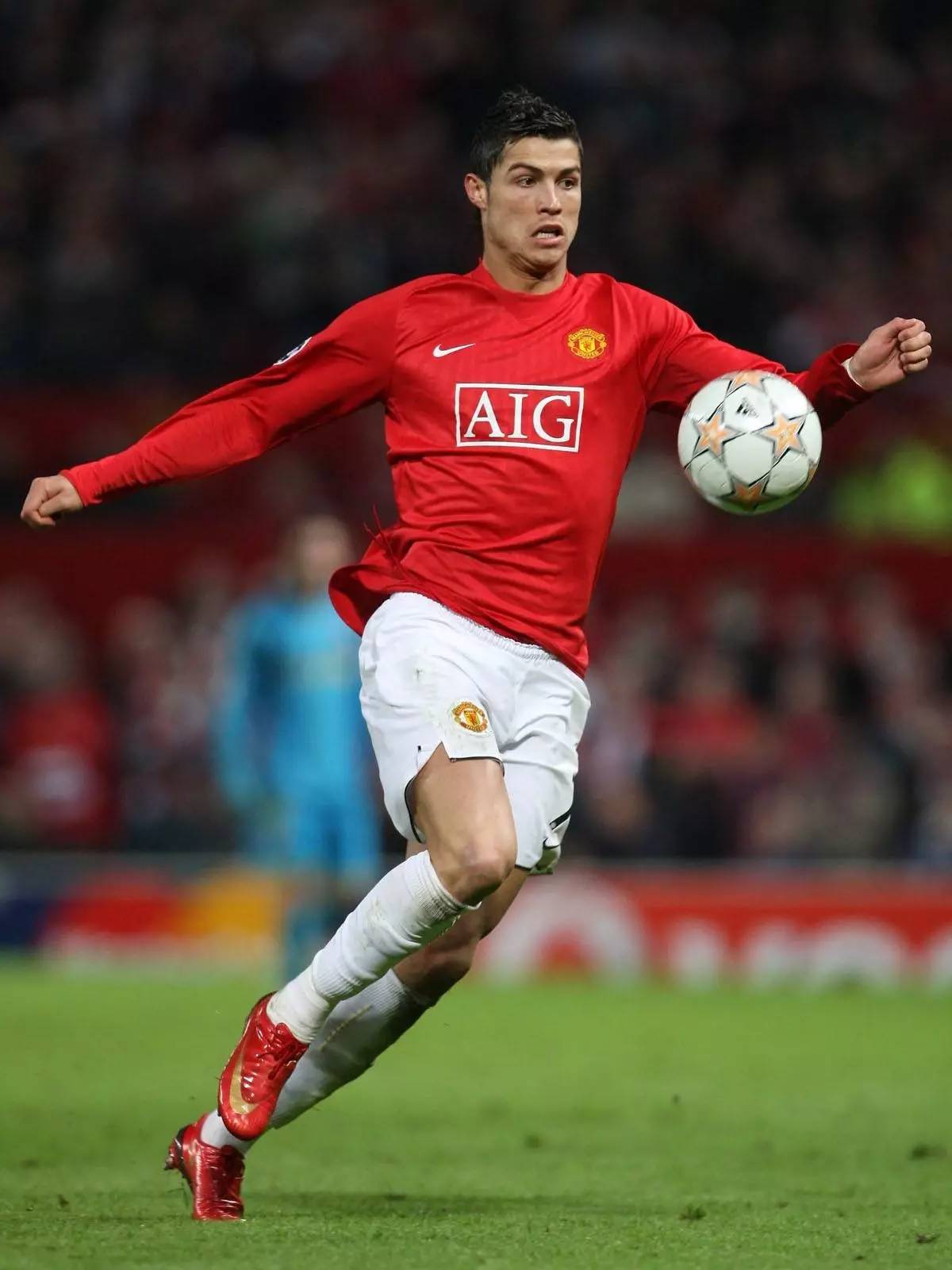 而是概率的 而是概率的